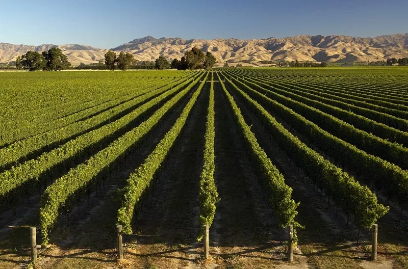 Onde Ficar em Marlborough: Blenheim